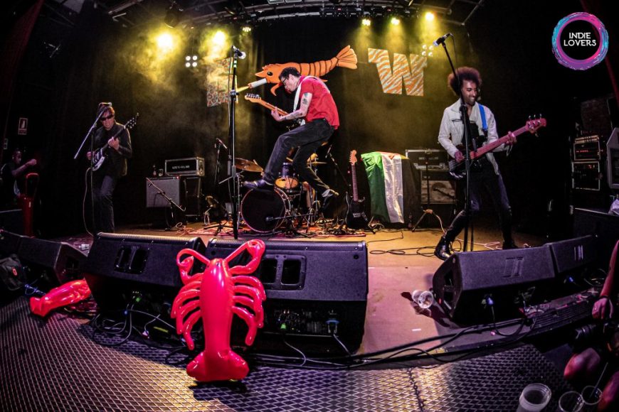 Crocodiles (Foto: Meritxell Rosell)