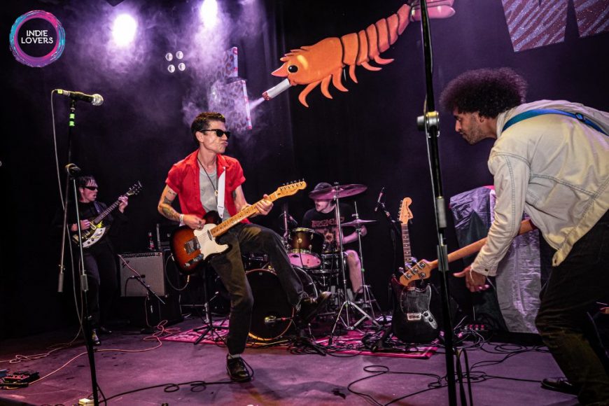 Crocodiles (Foto: Meritxell Rosell)