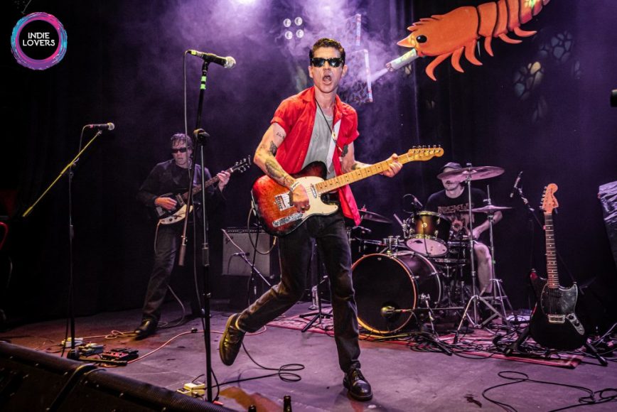 Crocodiles (Foto: Meritxell Rosell)