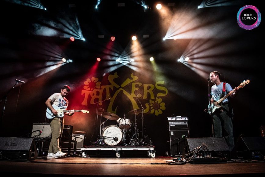 Tatxers (Foto: Meritxell Rosell)