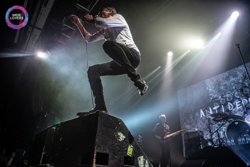 Suede (Foto: Meritxell Rosell)